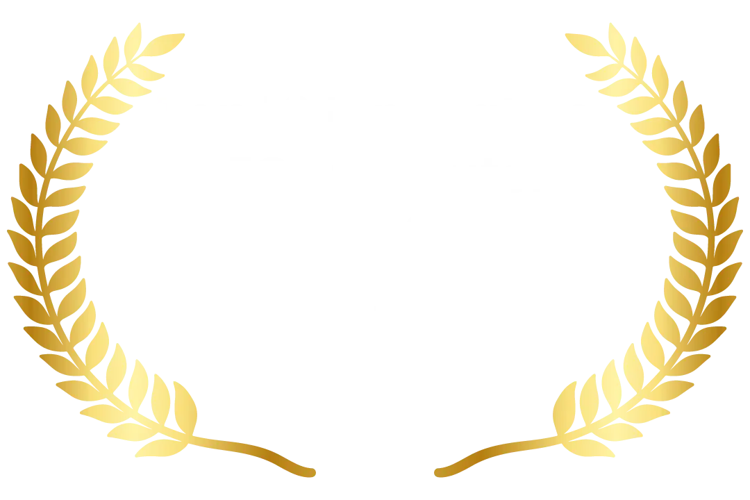 Top 10 Innovative CEOs to Watch in 2024 – Awarded by BSS