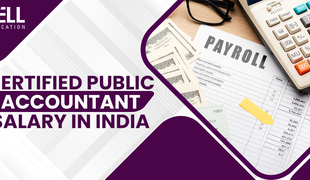 Chartered Accountant Salary 2022 Chartered Accountant Salary Guide