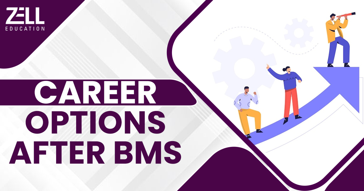 Top Career Options After BMS: What to do After BMS? [2025]