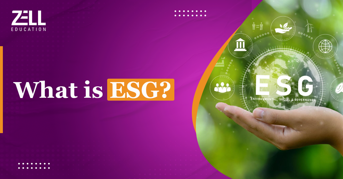 What Is ESG? Meaning, Specialist Role, Pros & Cons, and More