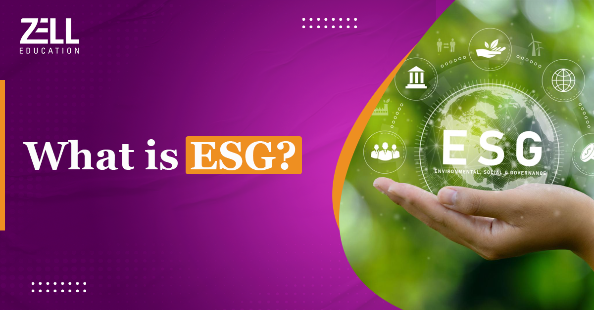 What is ESG