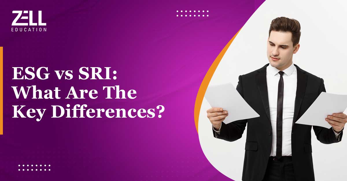 ESG vs SRI: What Are The Key Differences?