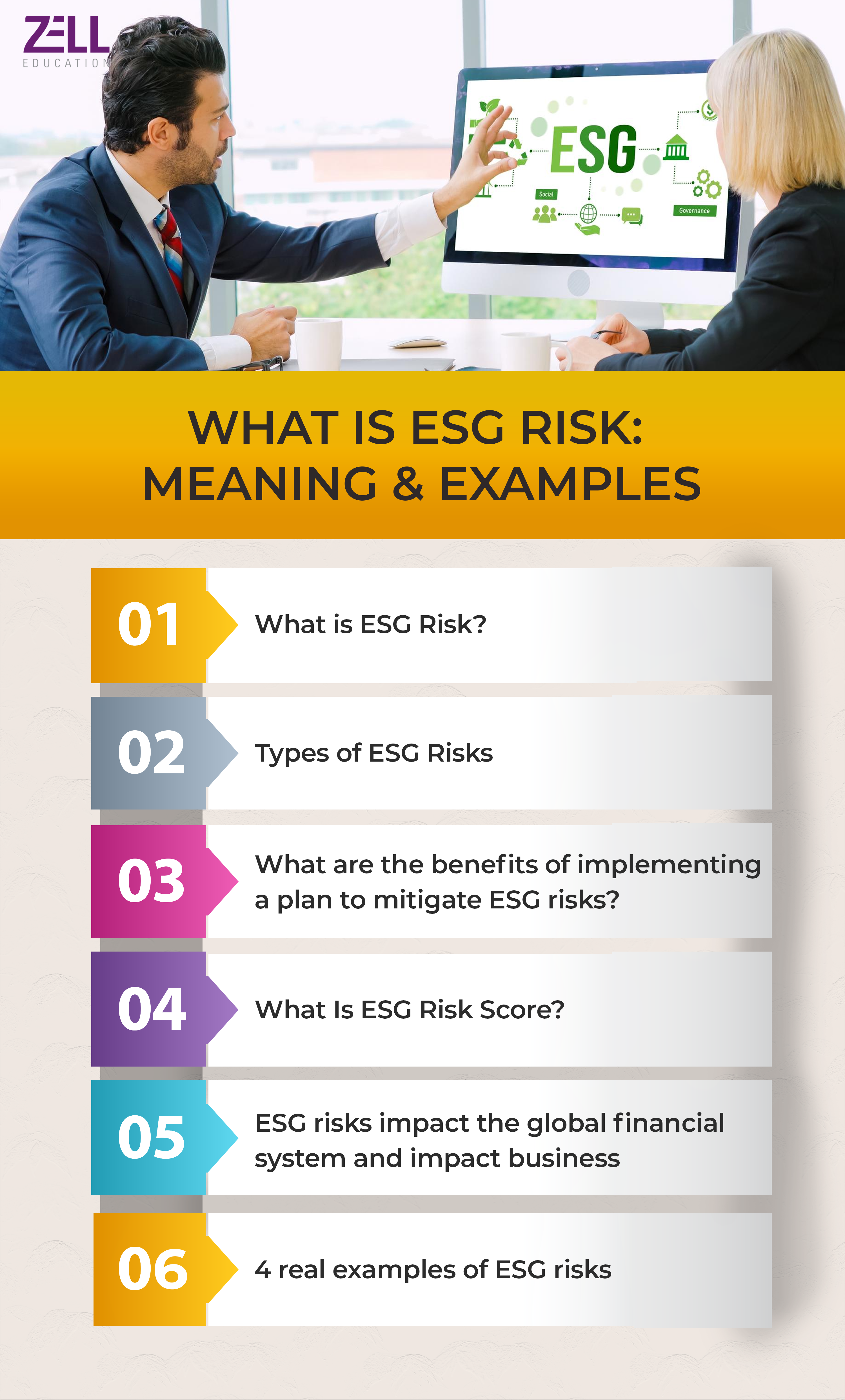 What is ESG Risk