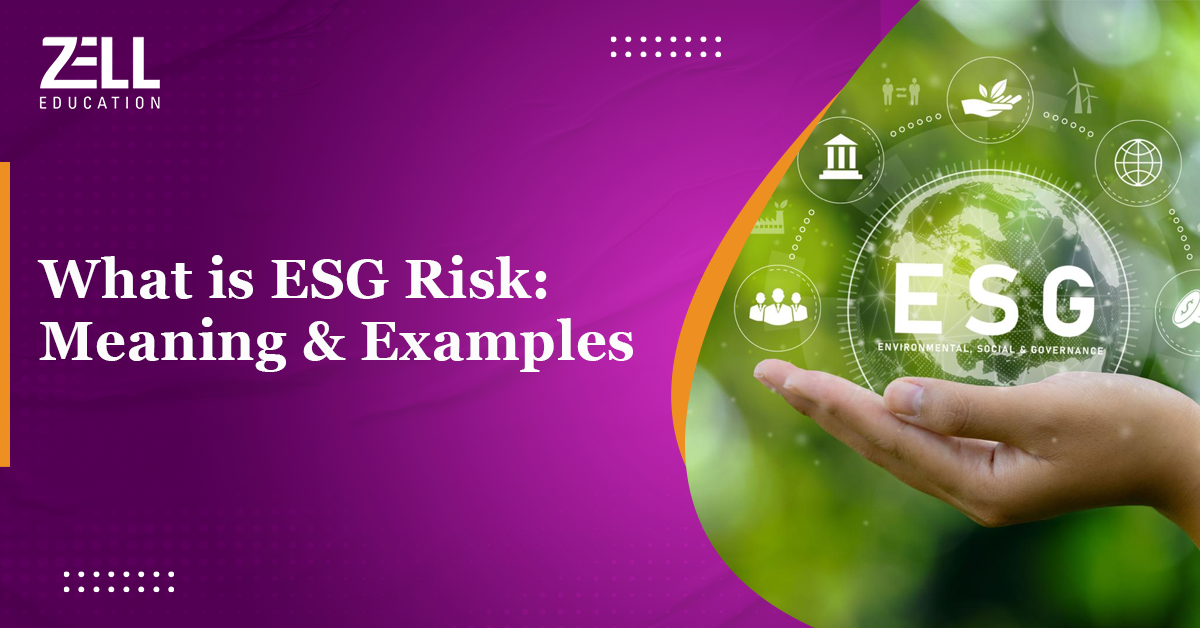 What is ESG Risk: Meaning, and Examples