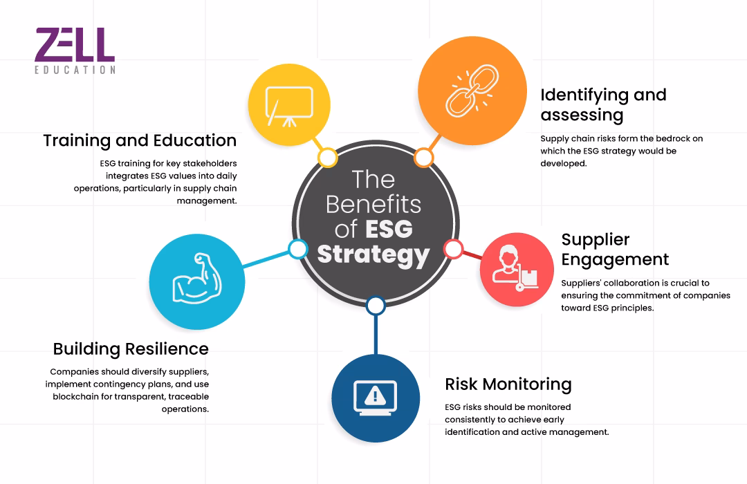 ESG Strategies