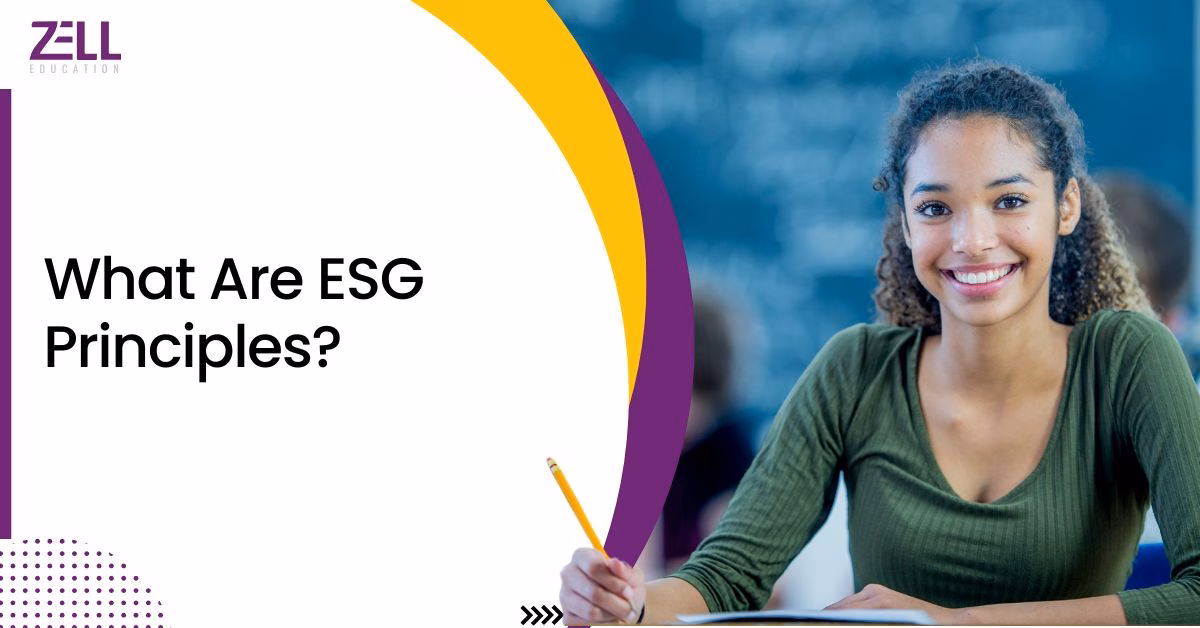 ESG Principles